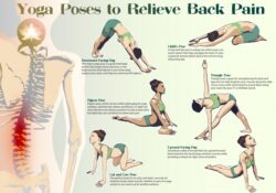 Best Yoga Poses For Back Pain
