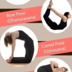 Basic Yoga Exercises To Get Periods Pictures