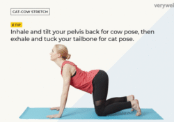 Yoga Poses Cat Cow Milk
