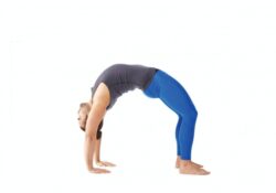 Yoga Poses Urdhva Dhanurasana Variations