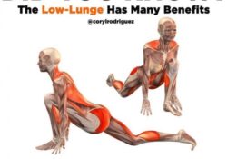 Yoga Stretches Benefits