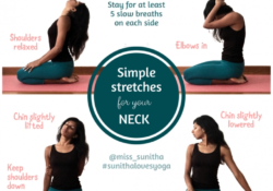 basic yoga stretches neck images