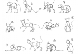 Cat Poses Reference