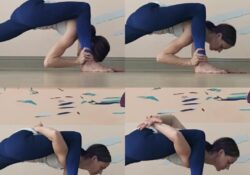 Flying Lizard Pose Yoga