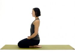 Yoga Asanas Sitting
