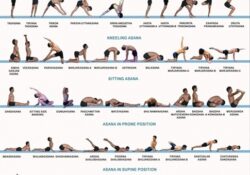 best yoga asanas with pictures photos