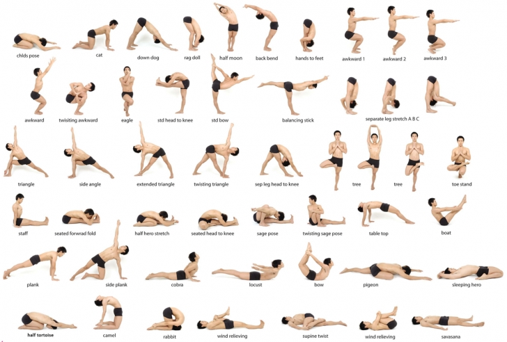 best yoga moves for beginners picture