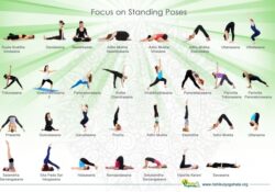 best yoga poses and names photo