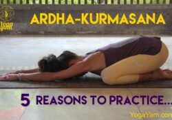 Yoga Poses Ardha Kurmasana Benefits