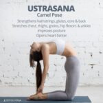 Best Yoga Poses Beneficios De Ustrasana Image