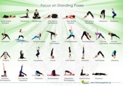 Yoga Poses For Beginners Names