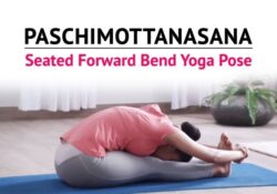 Yoga Poses Procedure Of Paschimottanasana