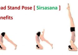 Yoga Poses Sirsasana Benefits In Hindi