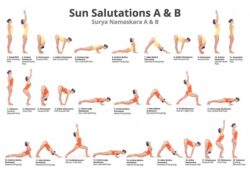 Yoga Poses Sun Salutation How To