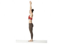 Yoga Poses Tadasana Urdhva Hastasana