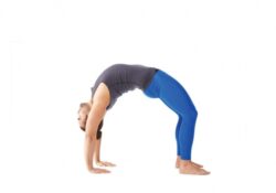 Yoga Poses Urdhva Dhanurasana Benefits