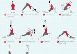 Yoga Poses Urdhva Dhanurasana Sequence