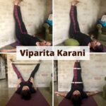 Best Yoga Poses Viparita Karani Iyengar Images