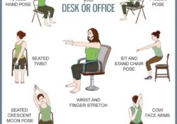 Chair Yoga Poses Seniors