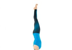 easy headstand yoga pose image