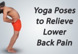 Lower Back Pain Yoga Ramdev