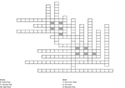 Yoga Pose Similar To Upward Facing Dog Crossword