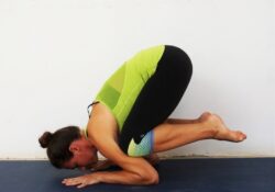 Yoga Poses Bakasana Vs Kakasana