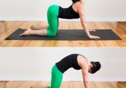 Yoga Poses Cat Cow Workout