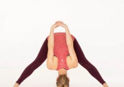 Yoga Poses Prasarita Padottanasana D