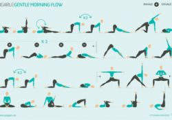 Yoga Sequence Morning