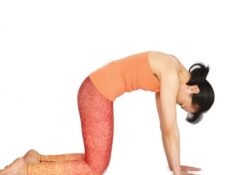 Cat Cow Yoga Position