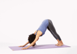 Lizard Pose Sanskrit