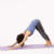 Lizard Pose Sanskrit