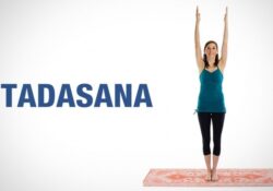 Yoga Asanas Procedure And Benefits
