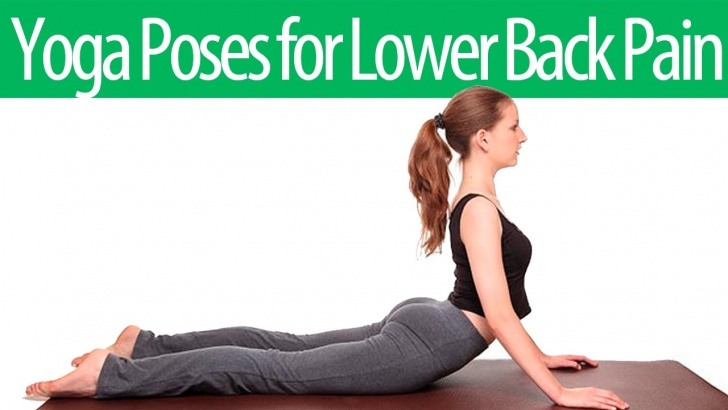 essential yoga for lower back pain beginners picture