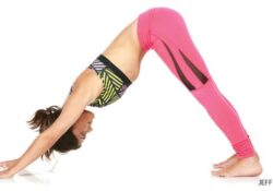 Yoga Poses Downward Facing Dog Sanskrit