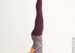 Yoga Poses Shoulder Stand For Beginners
