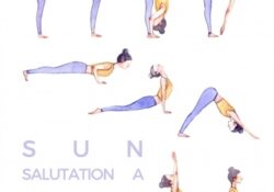Yoga Poses Sun Salutation Printable