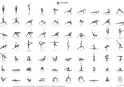 Yoga Poses Vinyasa