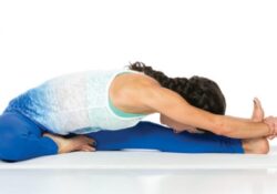 Yoga Poses Janu Sirsasana Iyengar