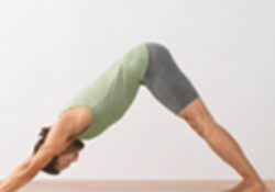 Yoga Positions Downward Dog
