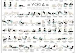Yoga Positions Poster