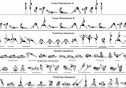 fun and easy yoga sequence vinyasa image