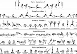 Yoga Sequence Vinyasa