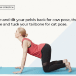 Guide Of Cat And Cow Yoga Image