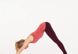 Downward Dog Yoga Free