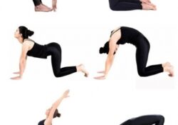 guide of easy yoga poses for beginners image