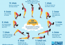 Sun Salutation Sequence Yoga
