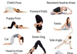 Yoga Poses For Back Pain For Beginners