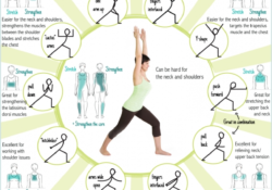 guide of yoga poses meaning image